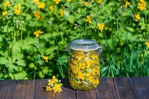 Rostopasca - plante proaspete - 1Kg - imagine 2