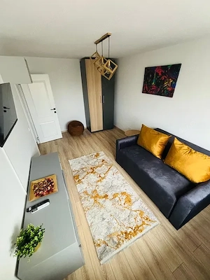 garsoniera 1 decembrie-grigorescu-modern