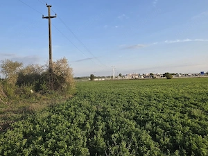 Teren intravilan de vânzare   Sânmartin - 5.683 mp - imagine 3