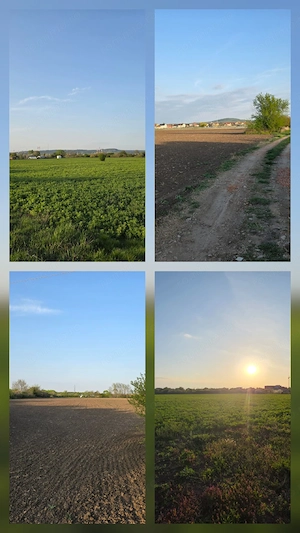 Teren intravilan de vânzare   Sânmartin - 5.683 mp - imagine 6