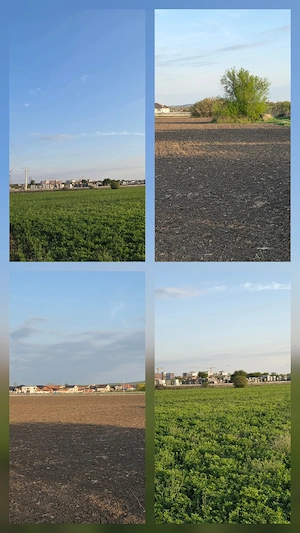 Teren intravilan de vânzare   Sânmartin - 5.683 mp - imagine 7