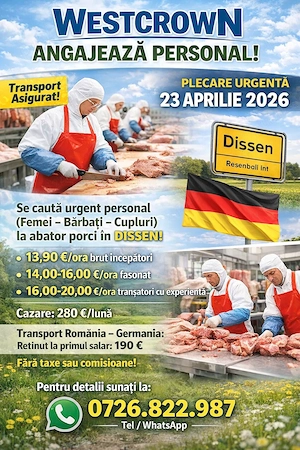 Westcrown angajeaza personal