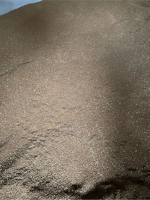 Vând grâu  - imagine 2