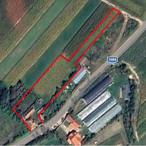 Casa la tara, gaz, acces auto, teren 4122 mp – Petid, Bihor – VANZARE - imagine 18