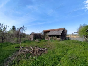 Casa la tara, gaz, acces auto, teren 4122 mp – Petid, Bihor – VANZARE - imagine 14