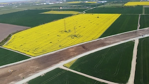 Vindem inchiriem 13,7 ha CF de TM, C. Aradului, fotovoltaice stocare