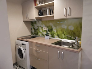 Ofer spre închiriere apartament central cu 1 cameră  - imagine 4
