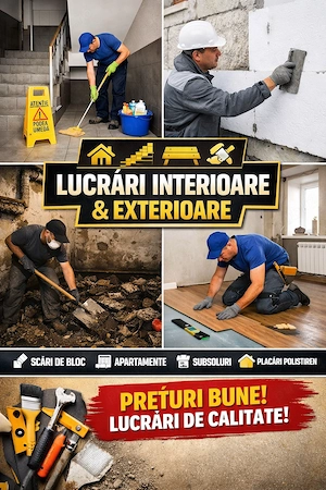 Execut lucrari