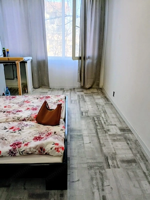 CI646 Sagului,1 camera,Renovat