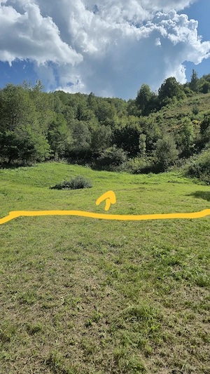 Teren intravilan munții Apuseni! Județul Alba, limită cu Județul Cluj Comuna Posaga,scărița belioara