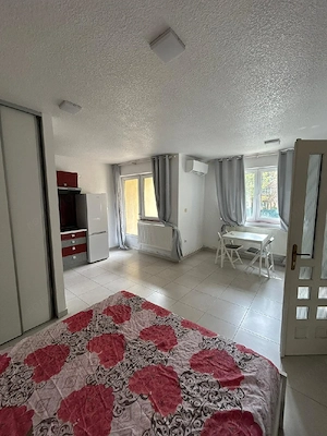 Apartament cu o cameră, in vila,langa Lidll-Budai Deleanu - imagine 18