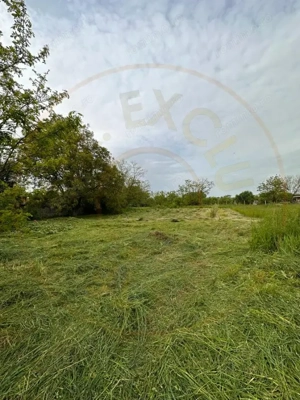  Teren intravilan Prundu - oportunitate excelentă de investiție! 