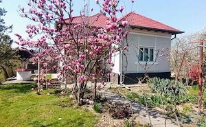 Casa de vanzare in Baiculesti,judetul Arges