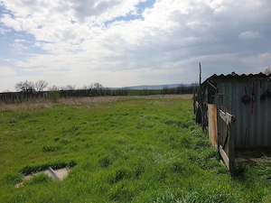 vand casa teren 1853mp Sarichioi, Tulcea - imagine 3