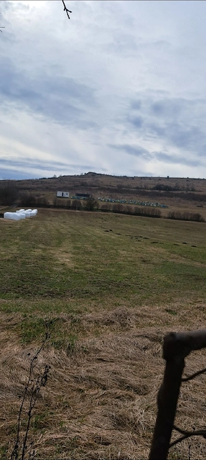 Casă și teren de vânzare 