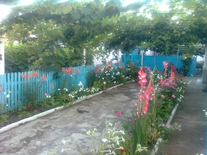 vand casa teren 1853mp Sarichioi, Tulcea - imagine 10