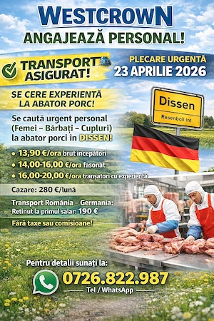 Westcrown angajeaza personal