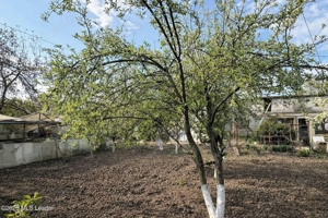 Chitila - Leroy Merlin, teren cu utilitati 881 mp, ideal dezvoltare - imagine 9