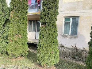 Apartament Vadu Crișului