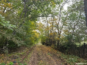 Teren SNAGOV Gruiu 3 euro mp