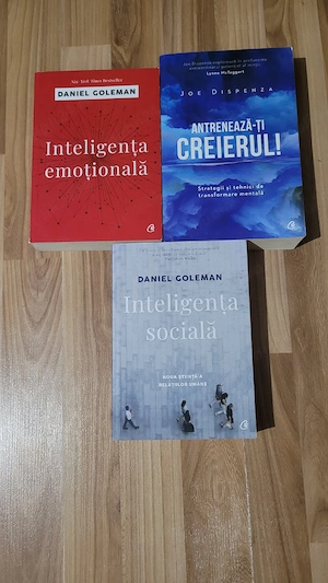 43 carti dezvoltare personală, business, filozofie, istorie - imagine 3