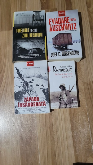 43 carti dezvoltare personală, business, filozofie, istorie - imagine 4