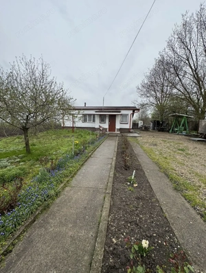 Casa 2 camere | Vucova | 1000 mp teren