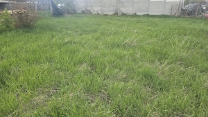 Vand teren intravilan in Zavoi partea de jos situat pe str. Sadoveanu, imprejmuit cu gard din lemn  - imagine 6