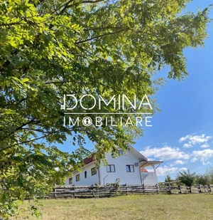 Vanzare proprietate deosebita, mobilata și utilata – Novaci, Sat Sitesti - imagine 9