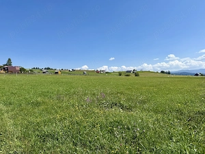 Terenuri de vânzare în zona Vatra Dornei (Intravilan)