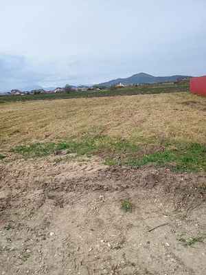 Teren Nicolae Bălcescu Harman  - imagine 9