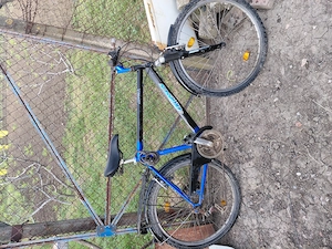 Bicicleta Pegasus