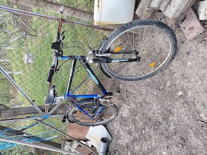 Bicicleta Pegasus - imagine 2