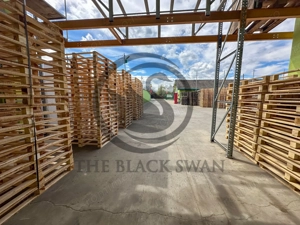 Spațiu/Hala de inchiriat | 800 mpu | Magurele - Prahova | Comision 0% - imagine 15