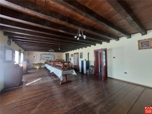 Imobil pentru pensiune sau alte activitati in Pischia - imagine 3