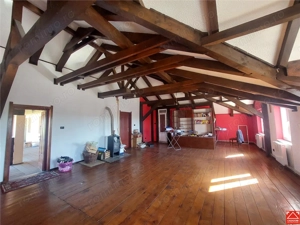 Imobil pentru pensiune sau alte activitati in Pischia - imagine 7