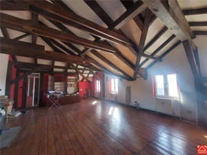 Imobil pentru pensiune sau alte activitati in Pischia - imagine 8