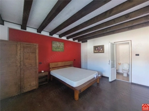 Imobil pentru pensiune sau alte activitati in Pischia - imagine 10