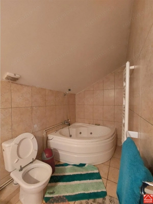 Imobil pentru pensiune sau alte activitati in Pischia - imagine 16