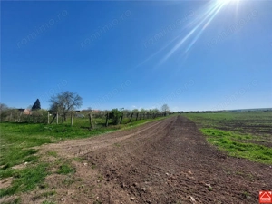 Teren pentru dezvoltare rezidentiala langa padure, in Pischia - imagine 4