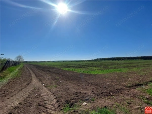 Teren pentru dezvoltare rezidentiala langa padure, in Pischia - imagine 2