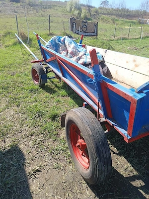 Vand Cal cu Ham si carută , Pret 2000 de euro  - imagine 5