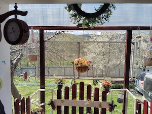 Casa si teren in natura (urgent) - imagine 8