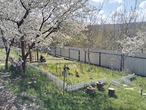 Casa si teren in natura (urgent) - imagine 9