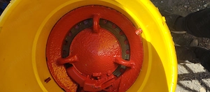 Semănătoare de Porumb  - imagine 6