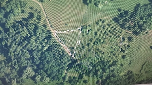 Teren mosoroasa 1500 meti pătrați 