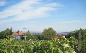 Vand teren intravilan Husi - imagine 2