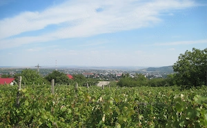 Vand teren intravilan Husi