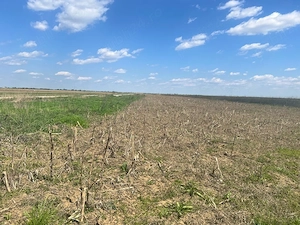 Vând teren extravilan   Slobozia Moară, Dâmbovița