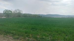 Vând în ăntregime un teren intravilan în orașul Hațeg cu suprafața de 3,4 ha - imagine 6